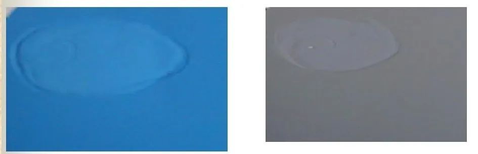 微信图片_20230223085039.jpg 微信图片_20230223085039.jpg